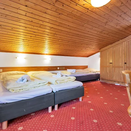 Hotel Pinzgauerhof - Inclusive Evening Dinner 3*