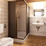 Pinzgauerhof - Inclusive Evening Dinner 3*