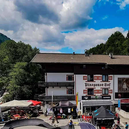 호텔 Pinzgauerhof - Inclusive Evening Dinner 3*